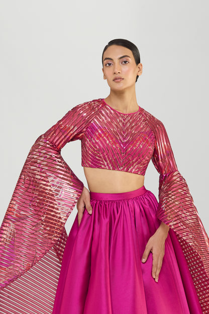 Metallic Printedtop With Wings And Luxe Twill Skirt