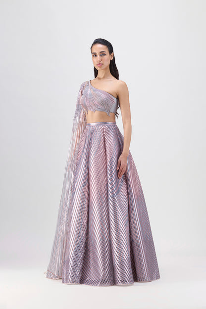 Metallic Fluted Tulle Printed Skirt And Beaded Top