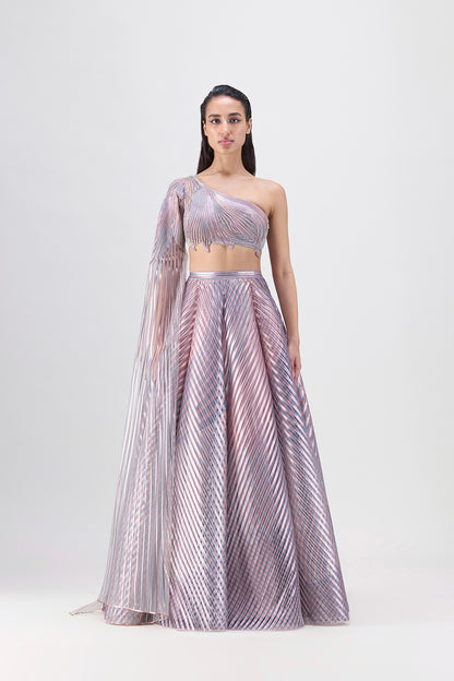 Metallic Fluted Tulle Printed Skirt And Beaded Top