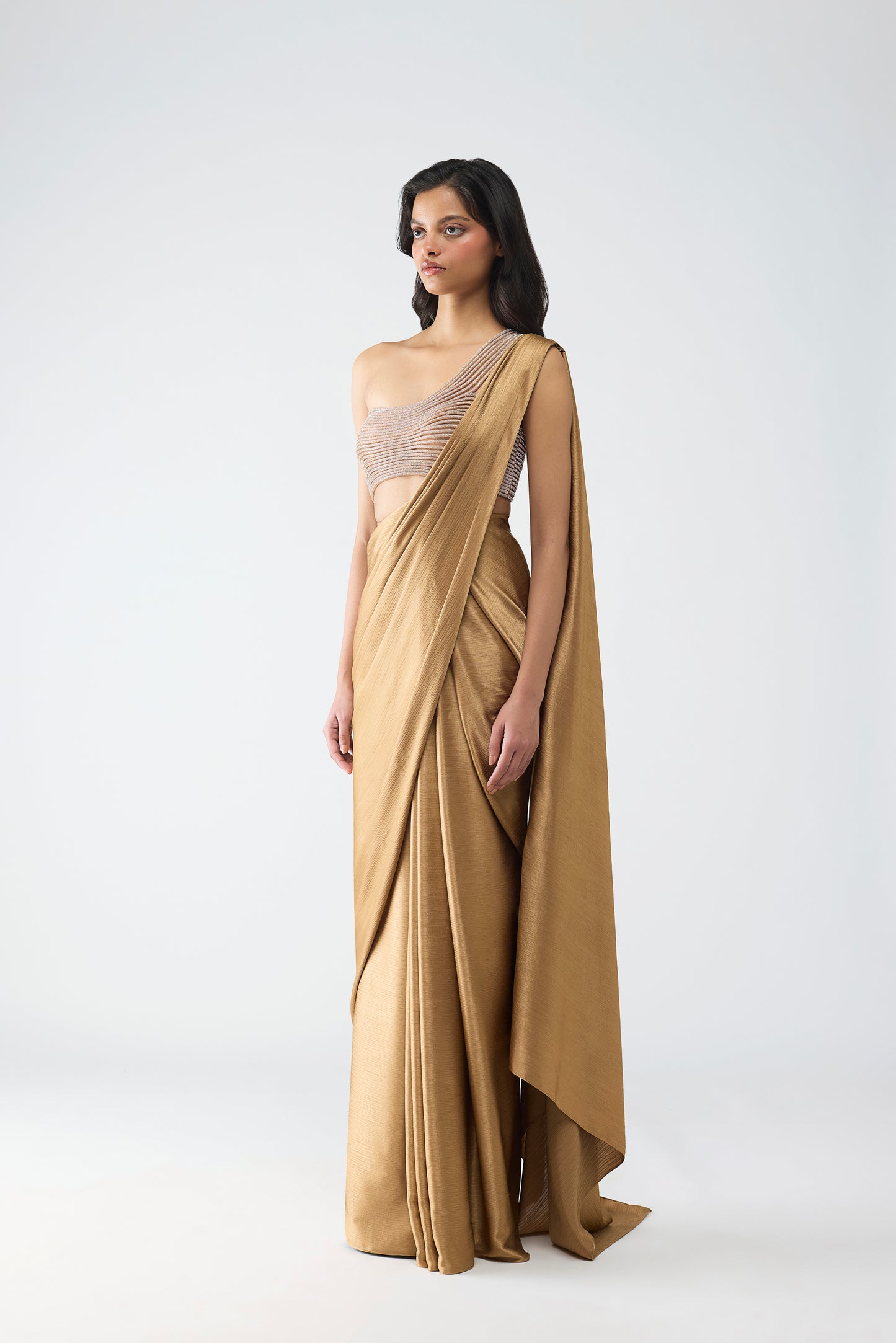 Crystalvein Top And Draped Saree