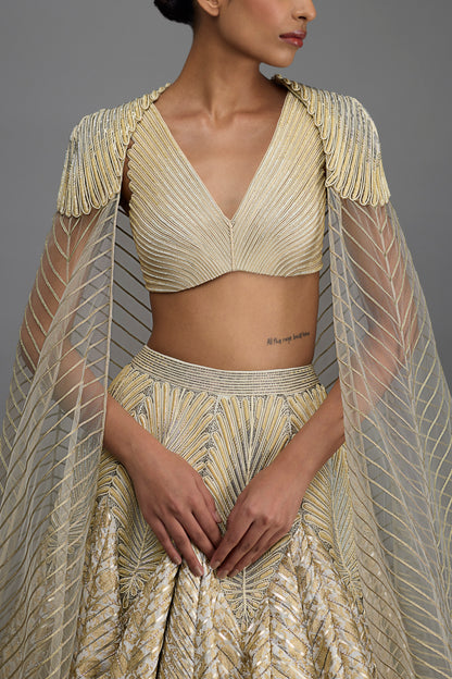 Structured Top And Cape With Banarsi Skirt