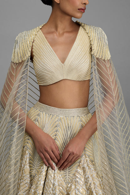 Structured Top And Cape With Banarsi Skirt