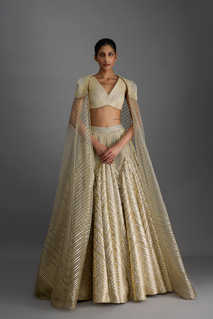 Structured Top And Cape With Banarsi Skirt