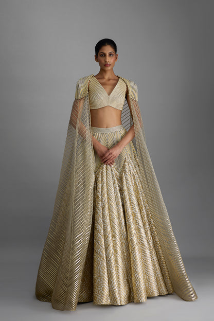 Structured Top And Cape With Banarsi Skirt