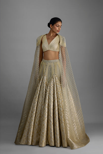 Structured Top And Cape With Banarsi Skirt
