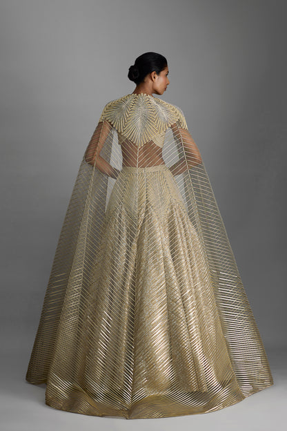 Structured Top And Cape With Banarsi Skirt