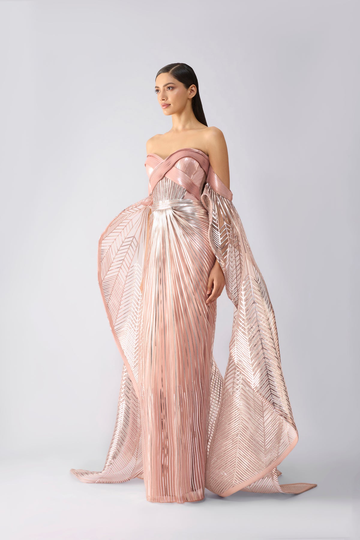 Metallic Gown With Sunray Wings
