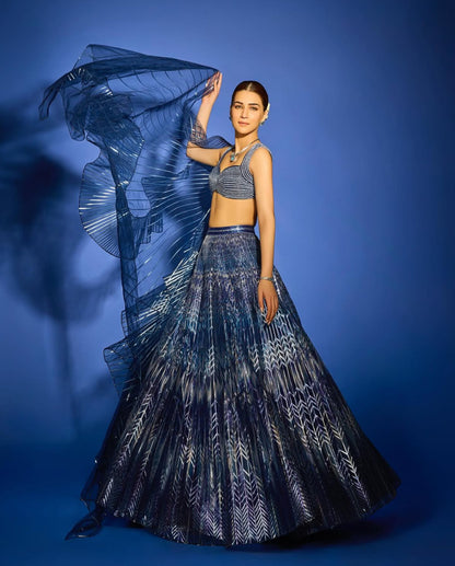 Metallic Fluted Tulle Printed Skirt With Ruffle Drape And Structured Crystalvein Top